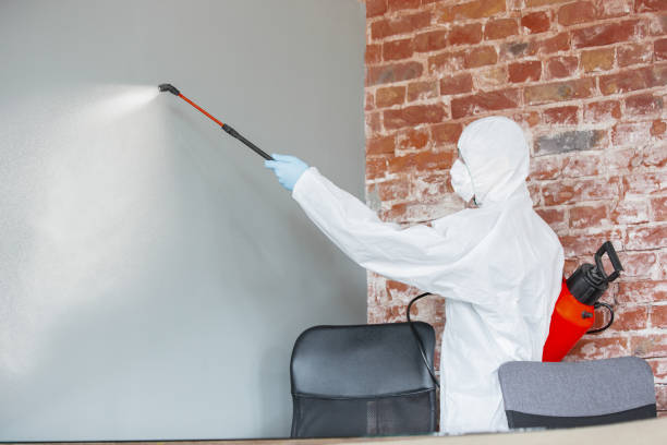 Best Mold Documentation for Insurance Claims  in Laguna Vista, TX