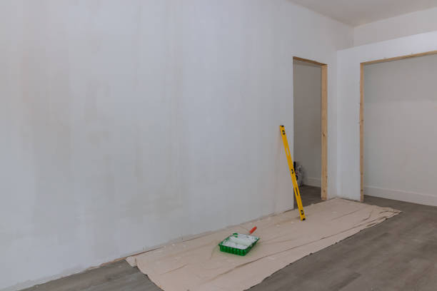 Professional Mold Removal in Laguna Vista, TX